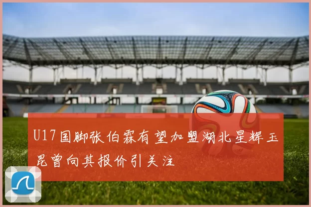 U17国脚张伯霖有望加盟湖北星辉玉昆曾向其报价引关注